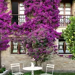 Rural Casona De Cefontes Hotel Gijón