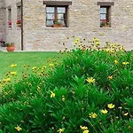 Rural Casona De Cefontes
