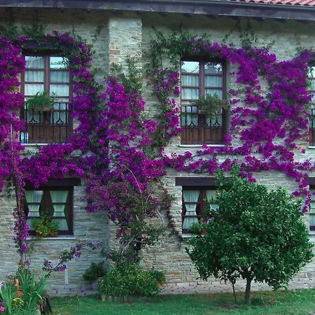 Rural Casona De Cefontes 3* Χιχόν