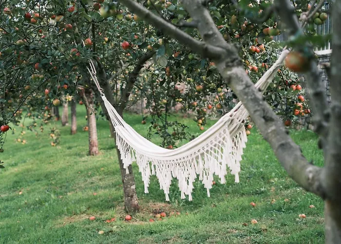 卡瑟纳赛冯特乡间酒店 希洪