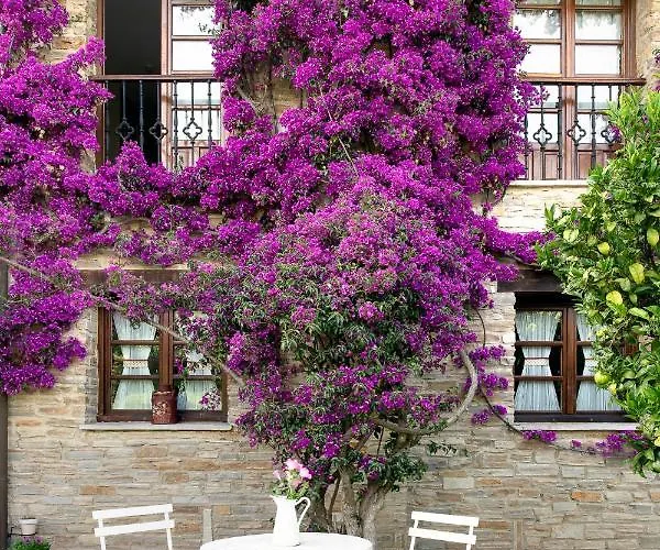 卡瑟纳赛冯特乡间酒店 酒店 希洪