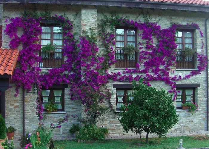 卡瑟纳赛冯特乡间酒店 3* 希洪